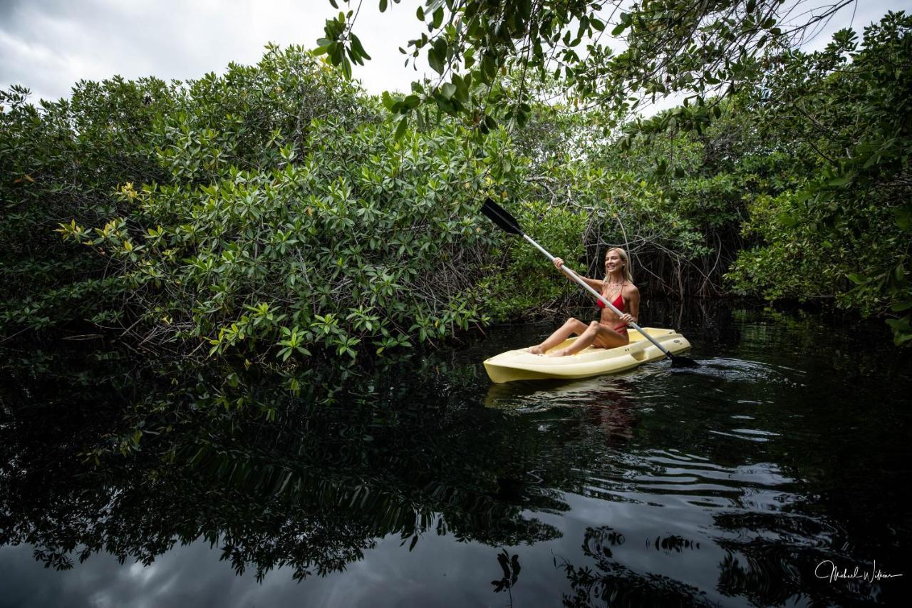Manglex Eco Hotel Tulum Luaran gambar