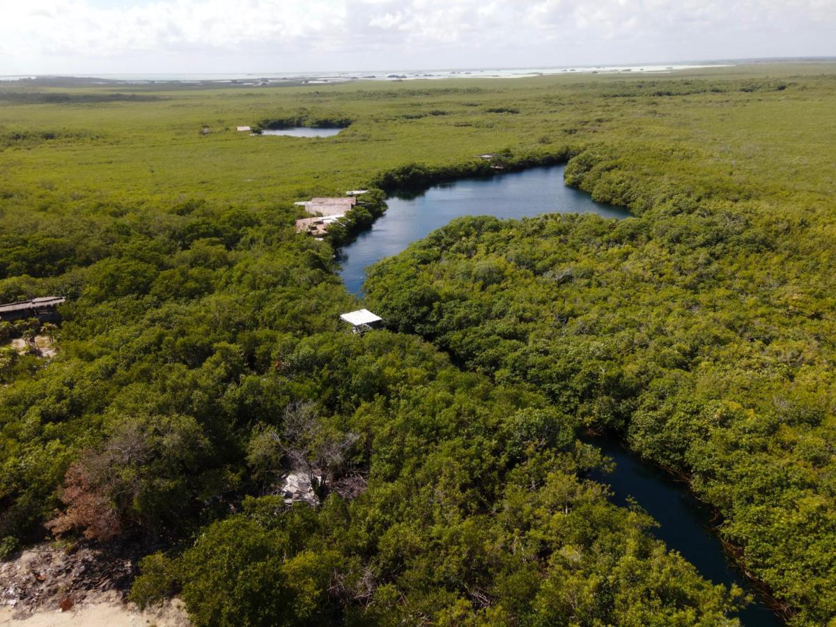 Manglex Eco Hotel Tulum Luaran gambar