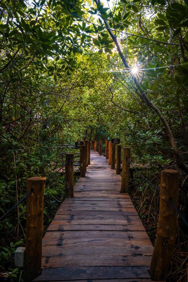 Manglex Eco Hotel Tulum Luaran gambar