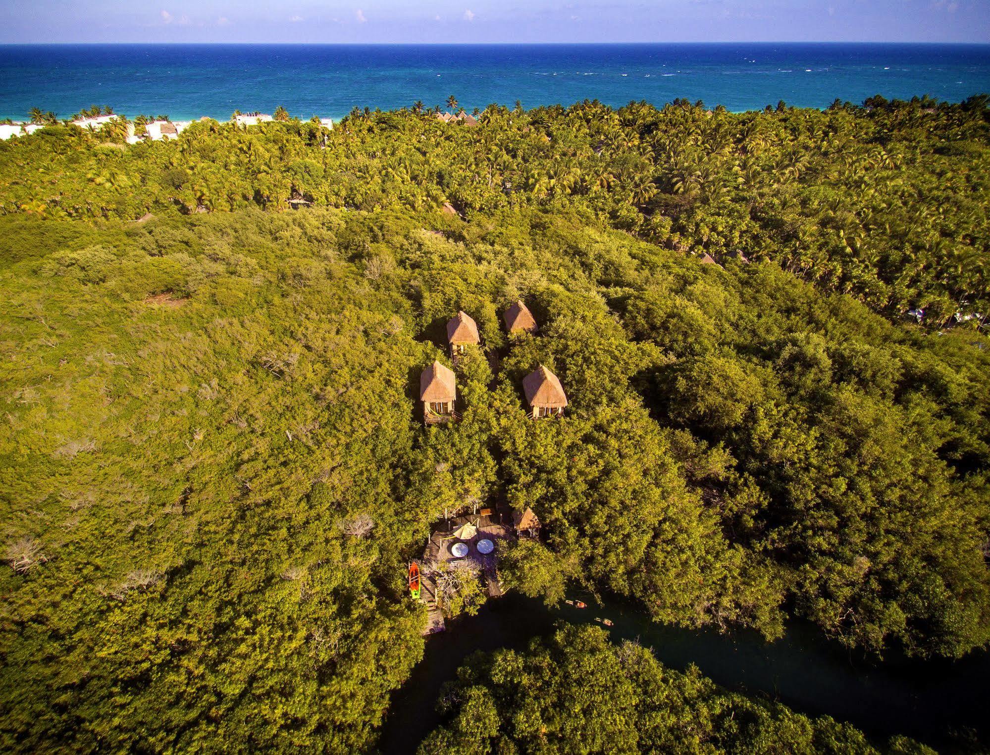 Manglex Eco Hotel Tulum Luaran gambar