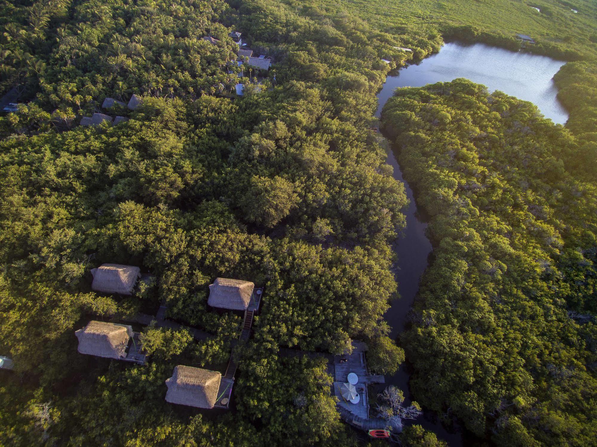Manglex Eco Hotel Tulum Luaran gambar