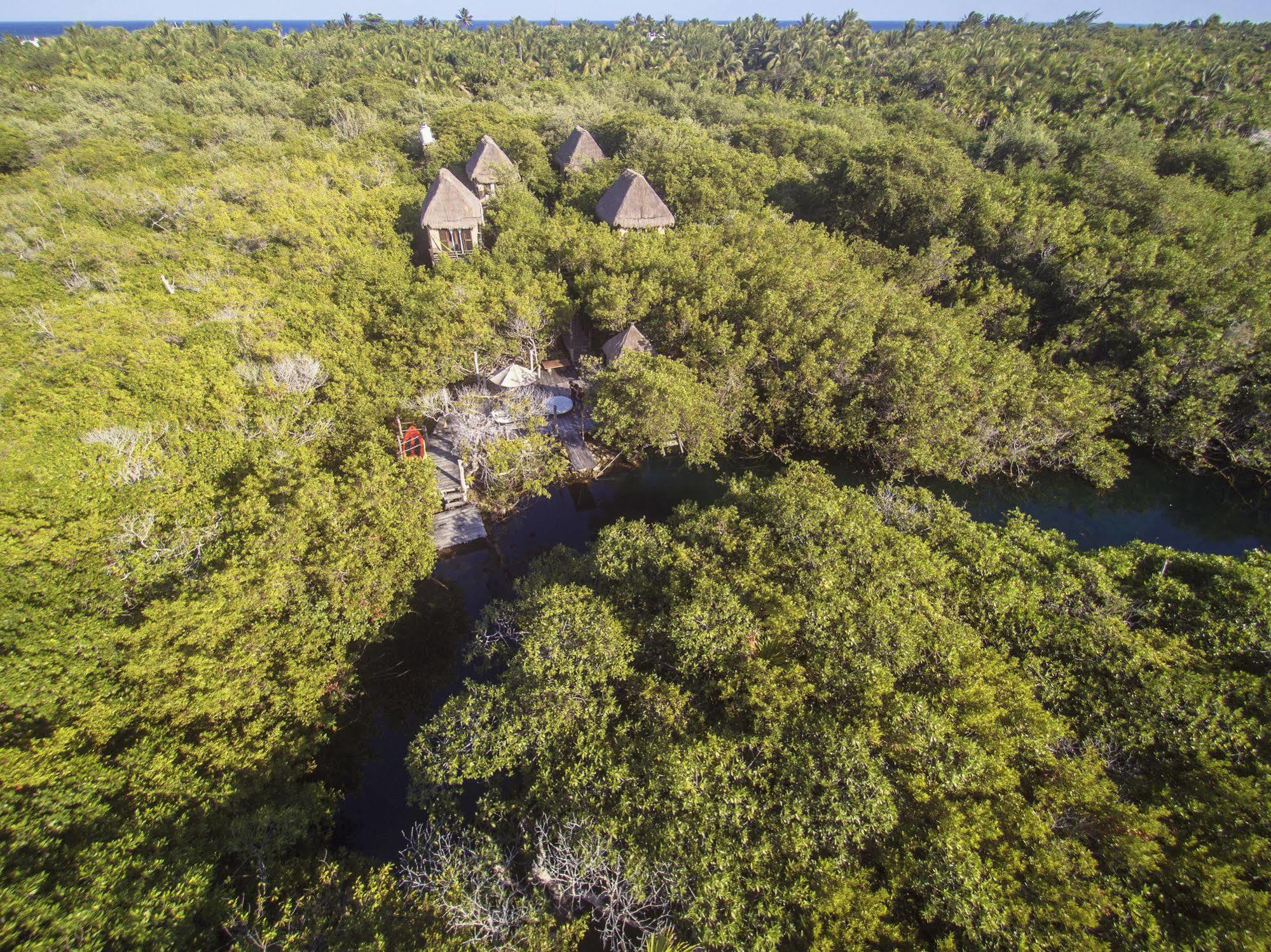 Manglex Eco Hotel Tulum Luaran gambar