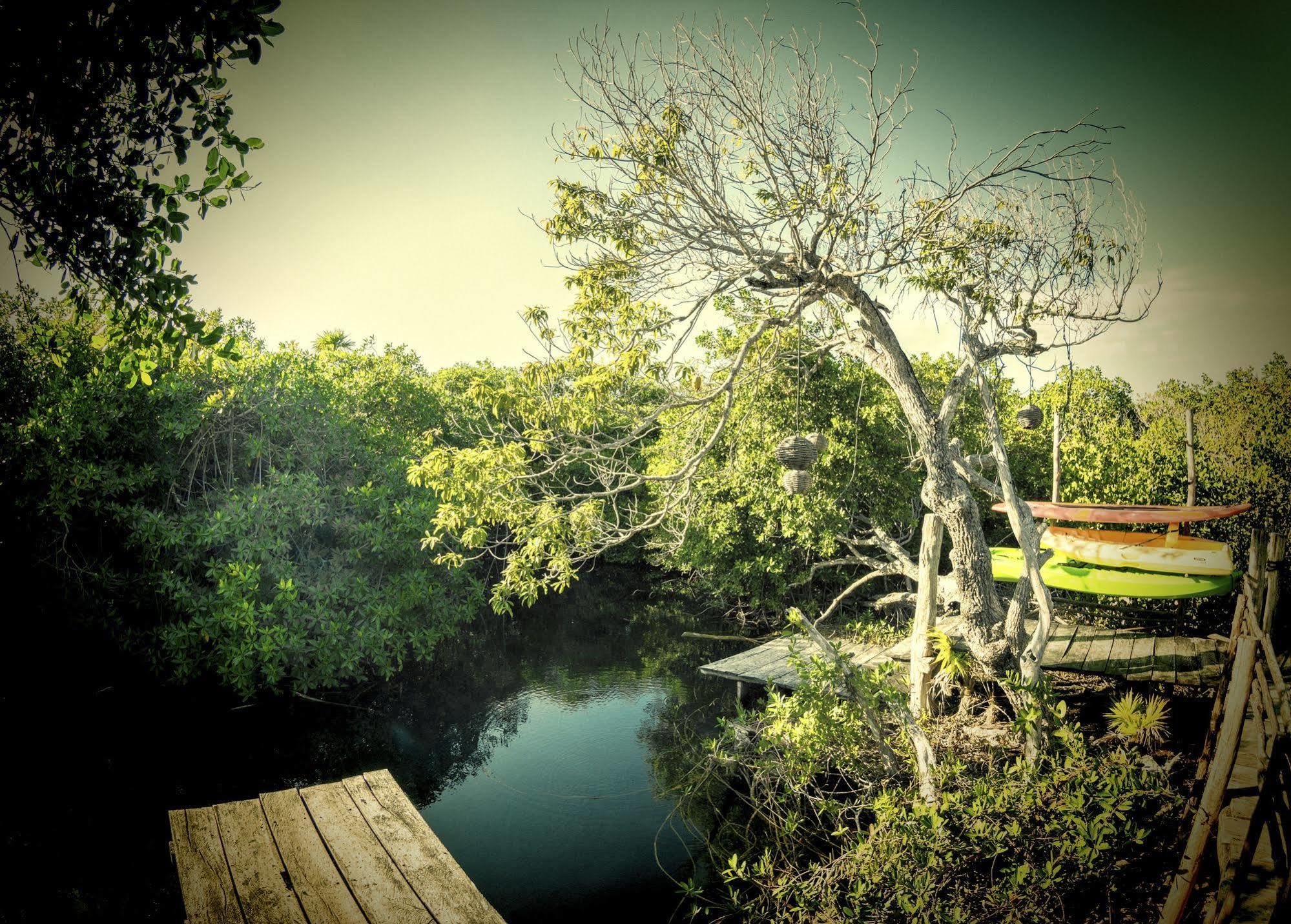 Manglex Eco Hotel Tulum Luaran gambar