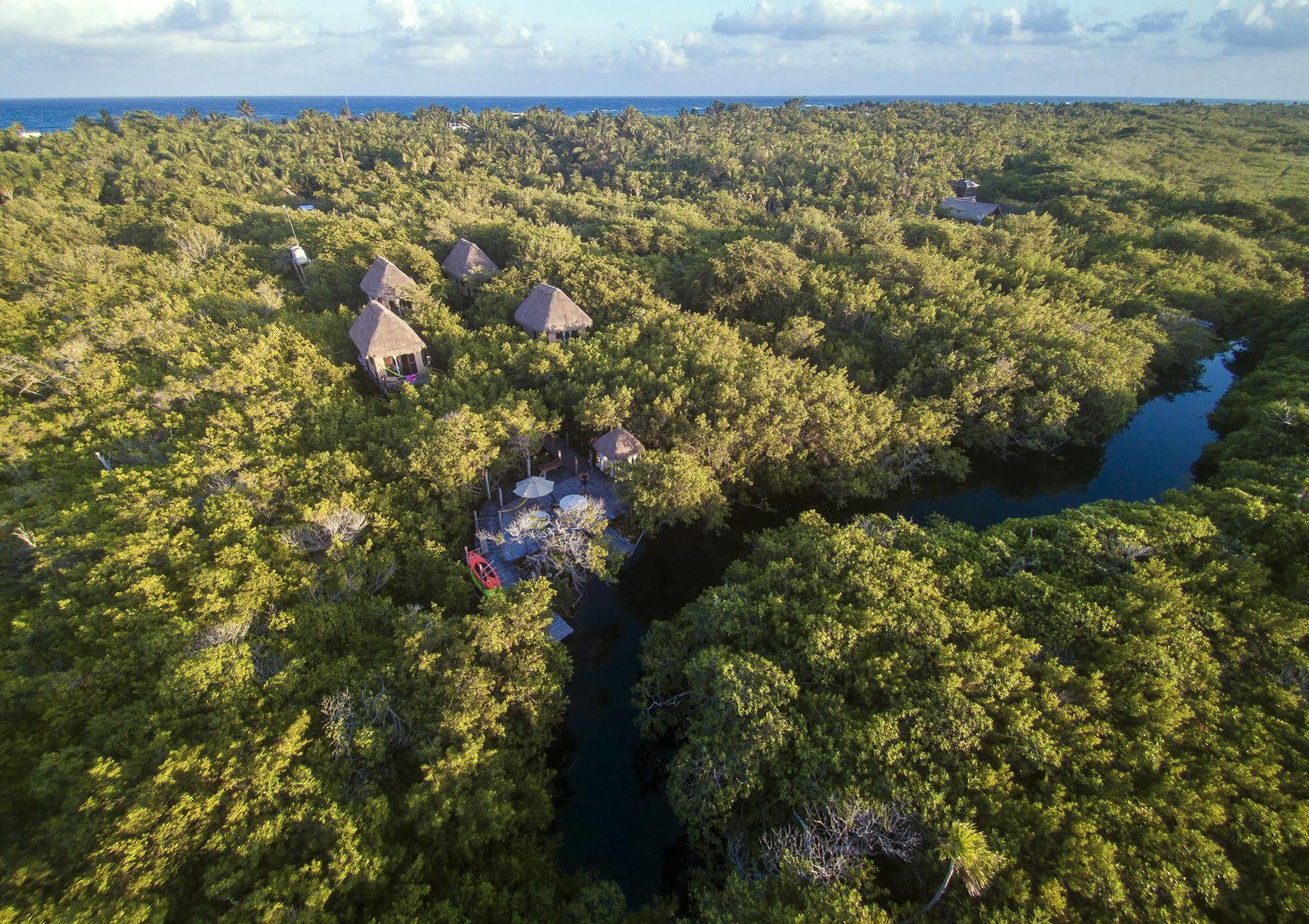 Manglex Eco Hotel Tulum Luaran gambar