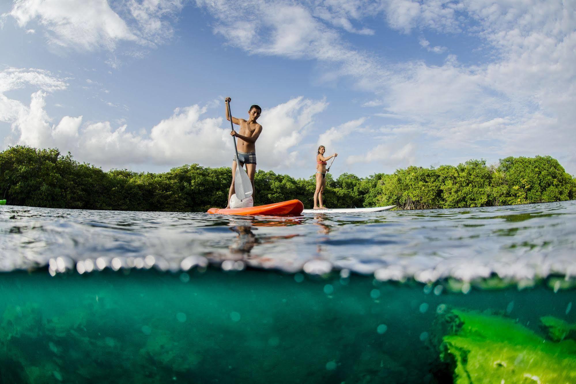 Manglex Eco Hotel Tulum Luaran gambar